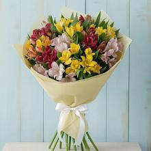 Букет цветов из:  Альстромерии в Борисоглебском