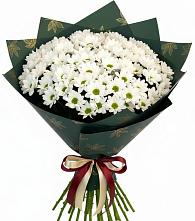 Букет цветов из:  Хризантемы в Борисоглебском