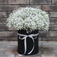 Цветочная композиция из Гипсофила в шляпной коробке в Борисоглебском