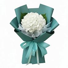 Букет цветов из:  Гортензия #REPLACE_PRED# Борисоглебском